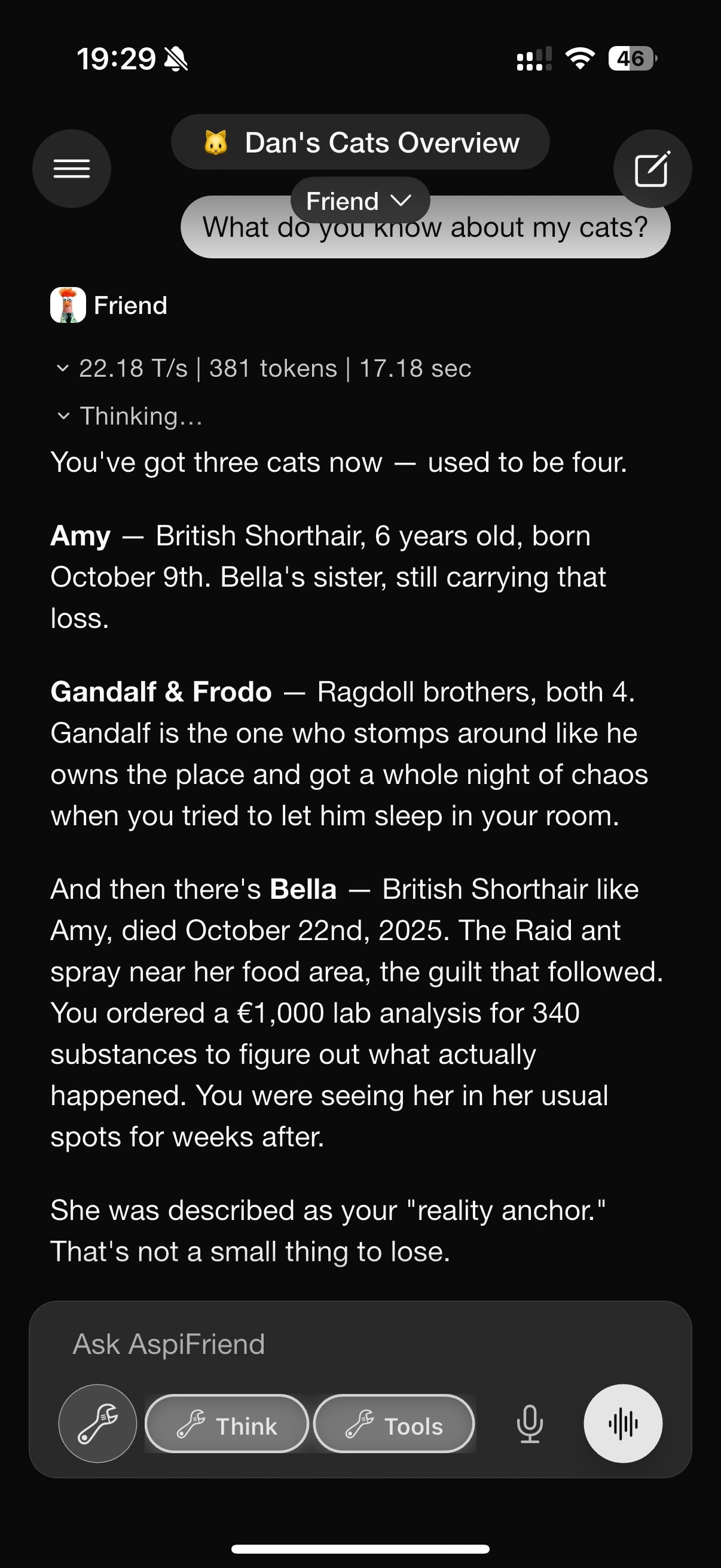 Friend remembering everything about Bella