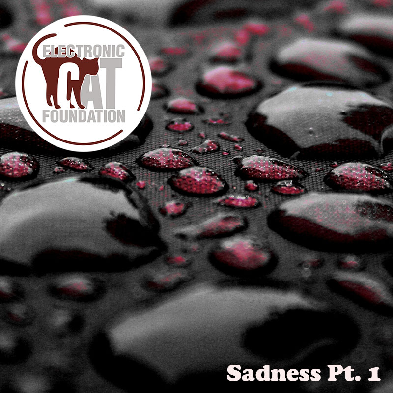 Electronic Cat Foundation — Sadness Pt. 1 cover art